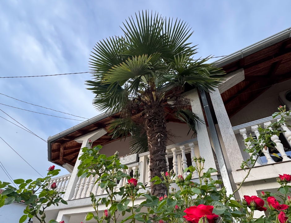Mostar hillside apartment